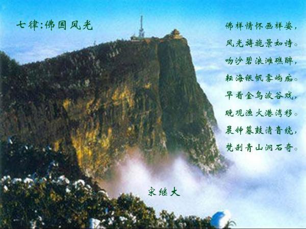 漆黑的森林逃脱